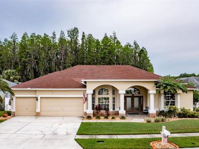 28717 Falling Leaves Way, Zephyrhills, FL, 33543