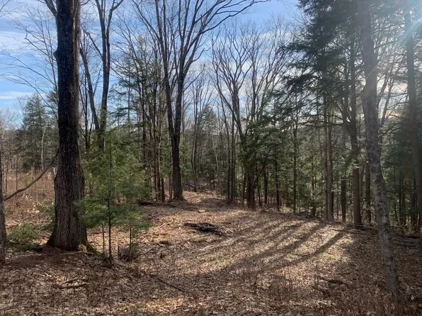 00 Brownsville Hartland Road, West Windsor, VT 05037