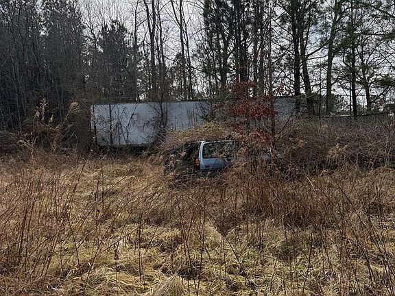 2nd image of 0 Long Point Rd