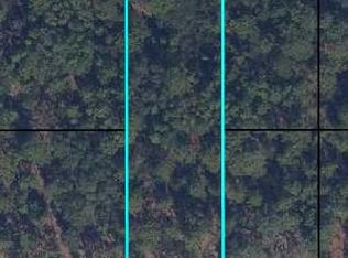 6183 Juilliard Avenue, Keystone Heights, FL 32656