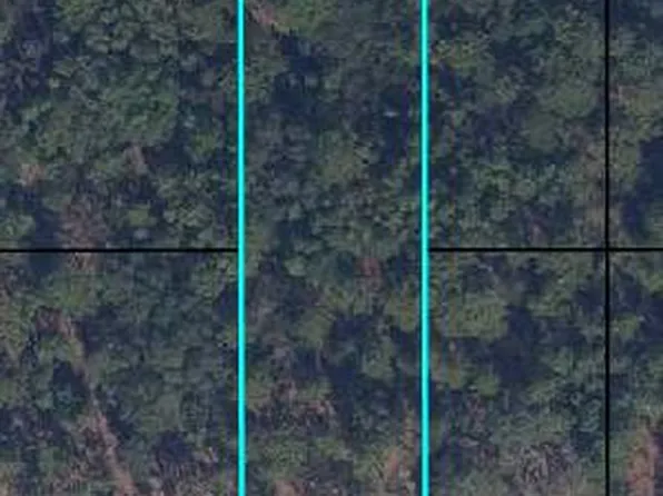 6183 Juilliard Avenue, Keystone Heights, FL 32656