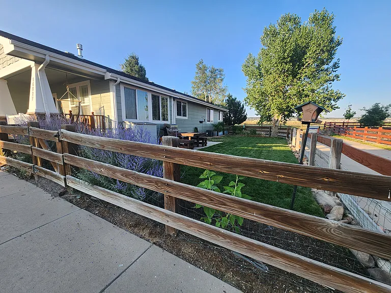 Fenced, pet-friendly side yard