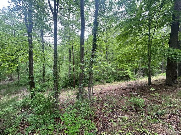 2nd image of 0 Timberview Rd