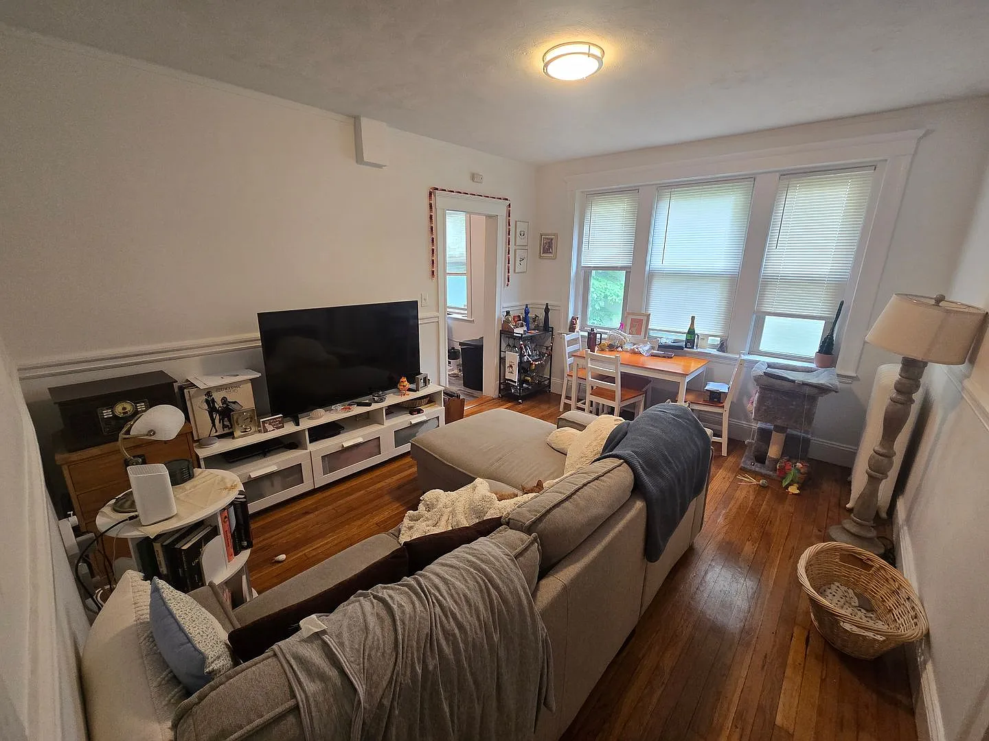 No Fee! Updated Apartment On Brookline Line Available 9/! — Photo 1