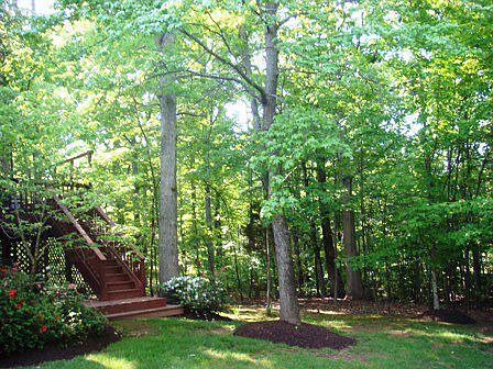 3rd image of 8502 Heron Pond Ln