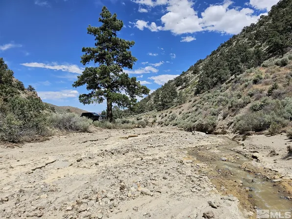R30e #S29>160ac, Hawthorne, NV 89415