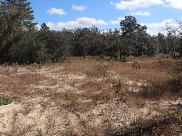 9097 N Peewee Point, Dunnellon, FL 34433