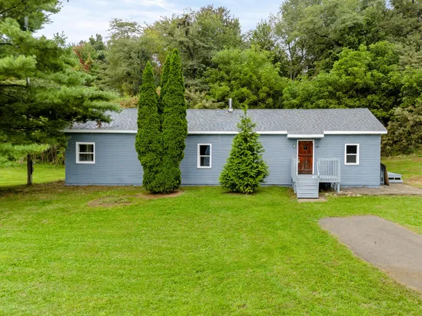 55470 Flatbush Rd, Three Rivers, MI 49093