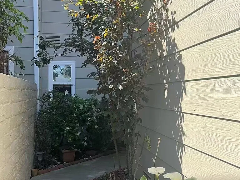 Front yard
