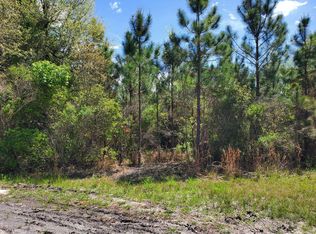0 Bell Rd LOT 9, Lee, FL 32059