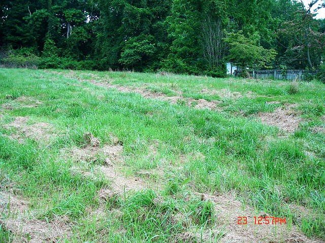 2nd image of Baugh Ln