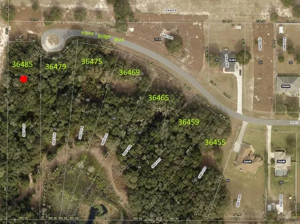 36485 Piney Ridge Blvd #71, Fruitland Park, FL 34731