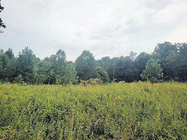 1st image of 1044 Brushy Ridge Rd