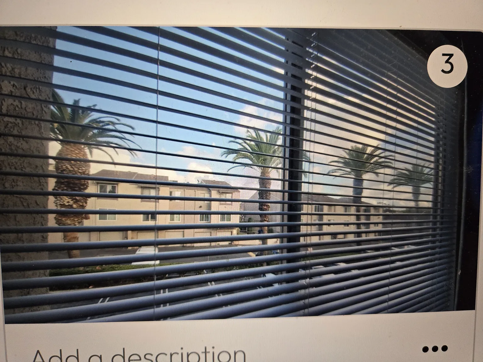 2 bed, 1200 sqft, $550 — Photo 3