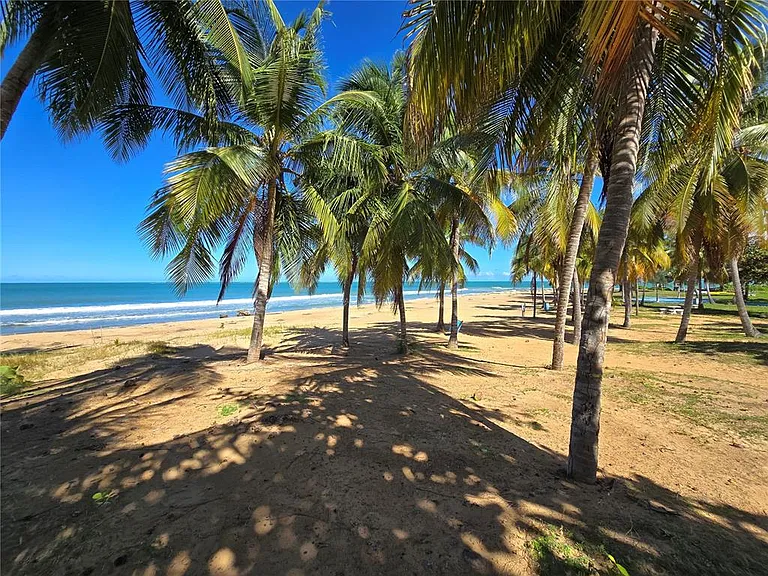 351 Las Picaus Playas Del Yunque 19 #RIO — Photo 2