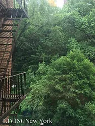 Rented by Living New York