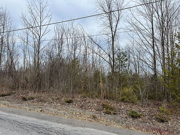 3rd image of 0 Armstrong Rd Lot 1