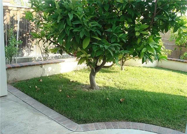 42 Partisan Pl — Photo 16