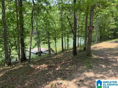 County Road 803 #0, Wedowee, AL, 36278