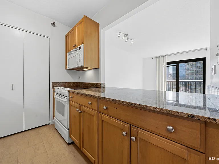 400 N Lasalle St #2506 — Photo 10