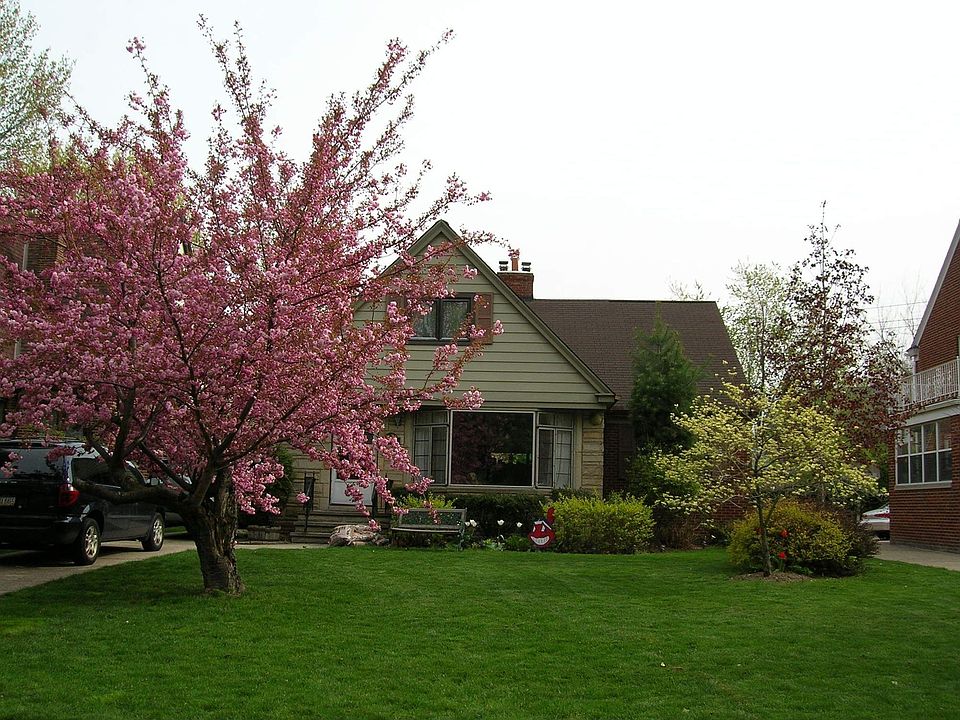 1st image of 19753 Coffinberry Blvd