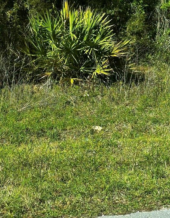 1st image of 2 SW 24TH PLACE LOT 17