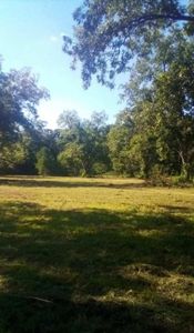 O'Ashford Road Ashford Rd, Cowarts, AL, 36321