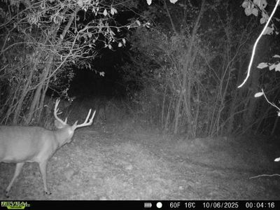 County Road 99, Warsaw, OH, 43844