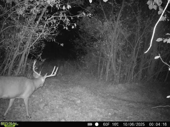 County Road 99, Warsaw, OH 43844