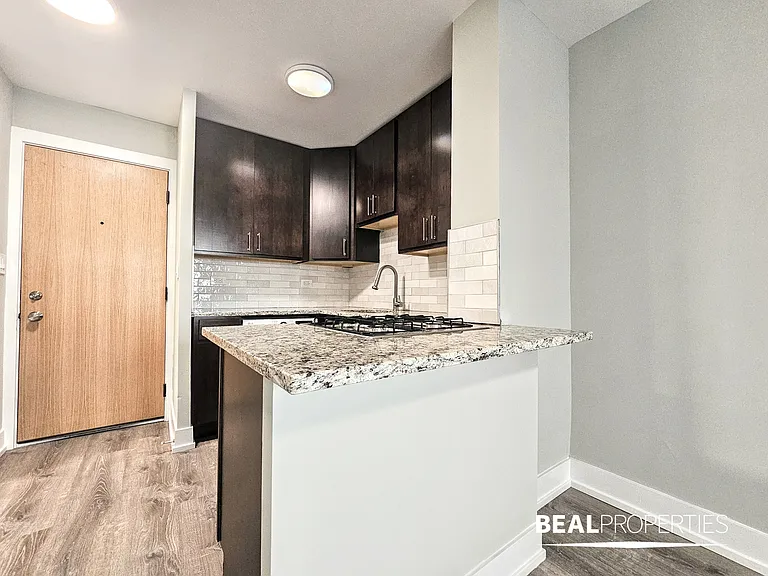 445 W Barry — Photo 20