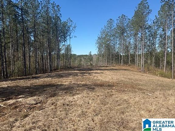 2nd image of Pate Rd Lot 7
