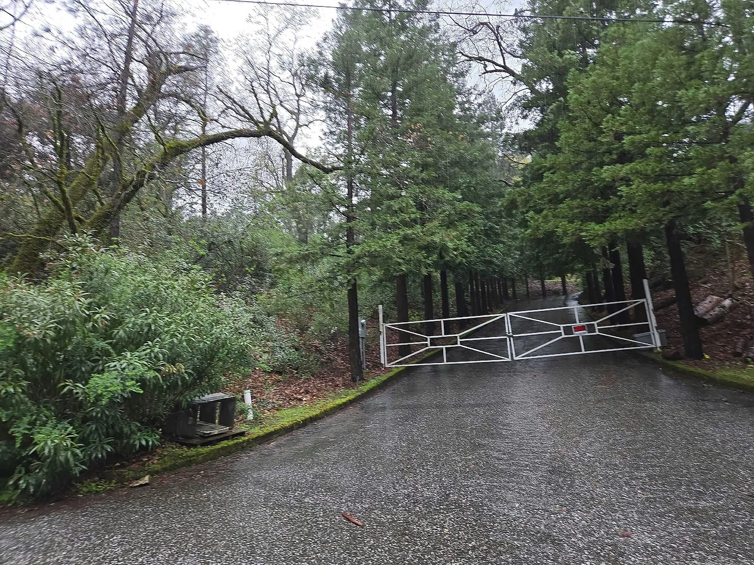 50 Tall Pines Ct photo 1