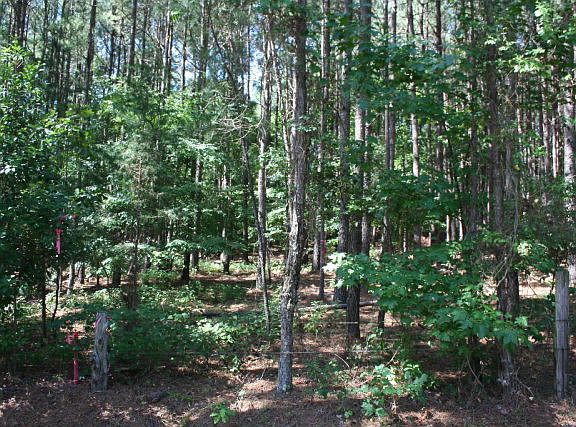 3rd image of Lot B-3 Elijah Clark Drive