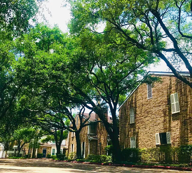 San Felipe Square Townhomes — Photo 9