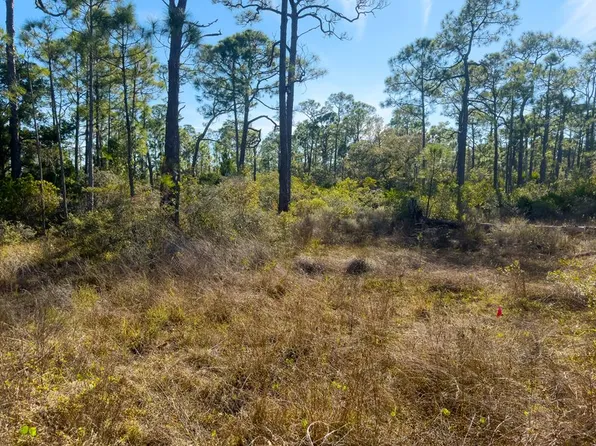 1279 Avocet Ln, Eastpoint, FL 32328