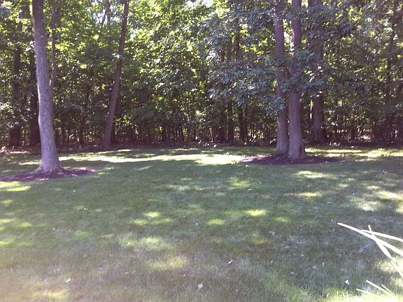 Beautiful view with woods 