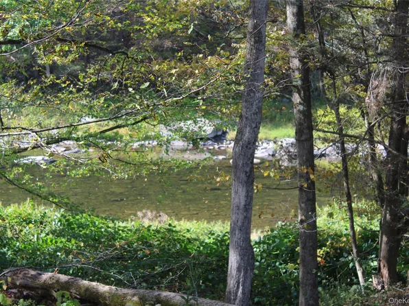 Peakville Road, Roscoe, NY 13783