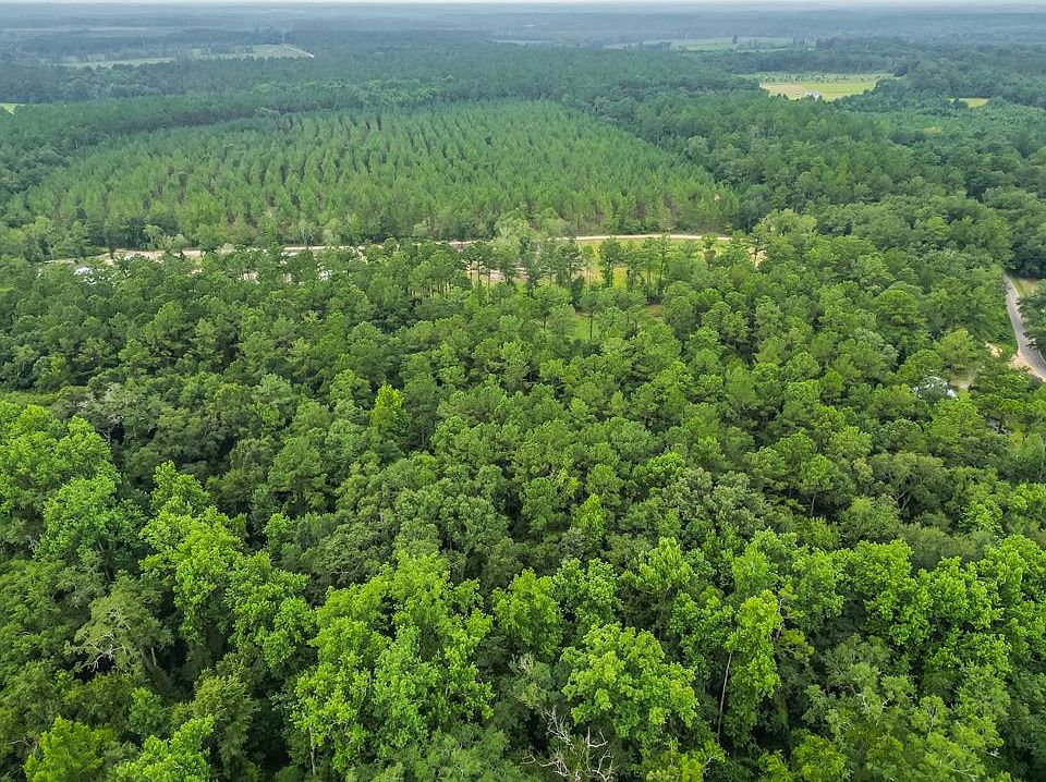 223 McNair Moore Rd, Climax, GA 39834 Zillow