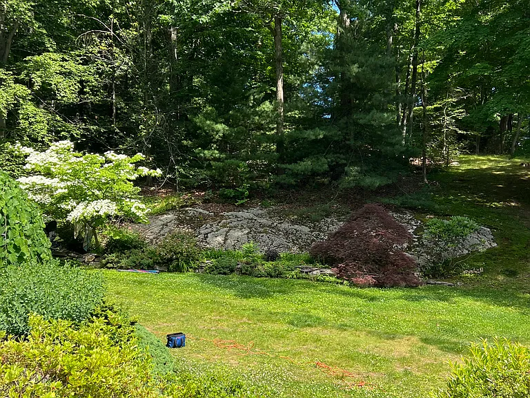 Lush natural landscaping
