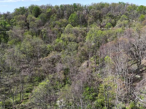4th image of 599-000 Ramsey Ridge Rd