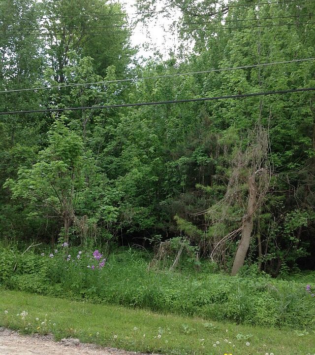 2nd image of 7933 Shady Beach Dr
