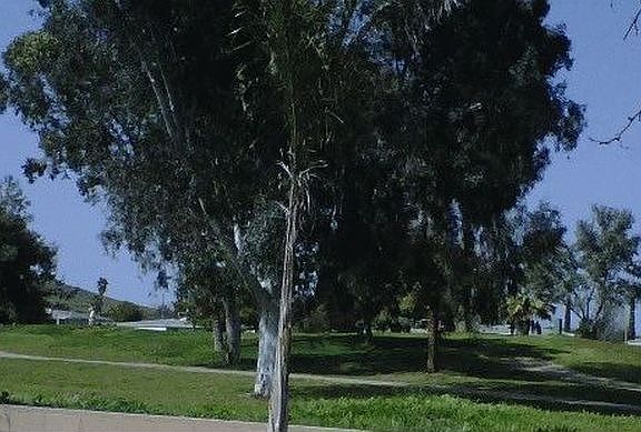 Rear View Golf Course