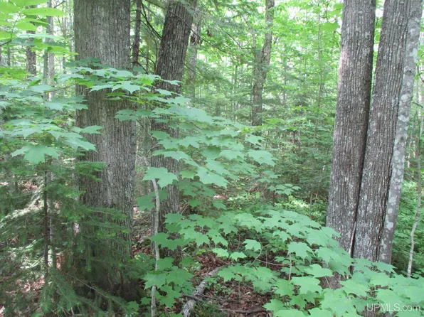 33415 N Firesteel Rd, Greenland, MI 49929