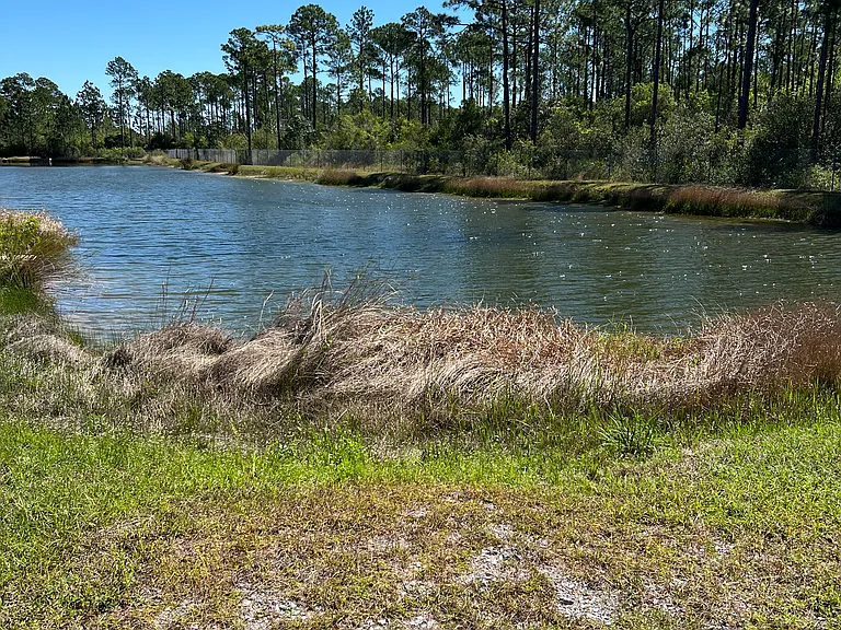 One of the 2 Ponds behind the forest at Manchester subdivision
