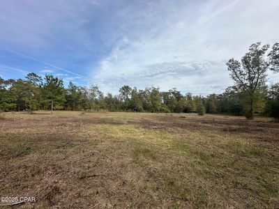 2194 Mohawk Trl, Sneads, FL, 32460