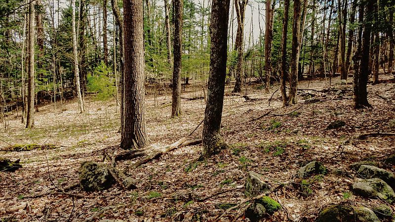 4th image of 00 ROBINHOOD Drive