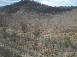 13278 Ridgeview Nellis Rd, Costa, WV 25051