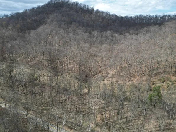 13278 Ridgeview Nellis Rd, Costa, WV 25051