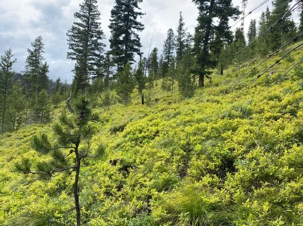 Nhn Argo Mine Rd, Philipsburg, MT 59858