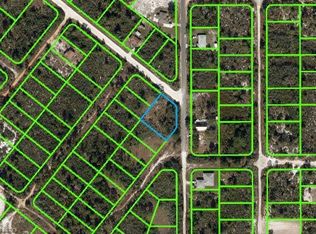 216 Dewolf Ave, Lake Placid, FL 33852